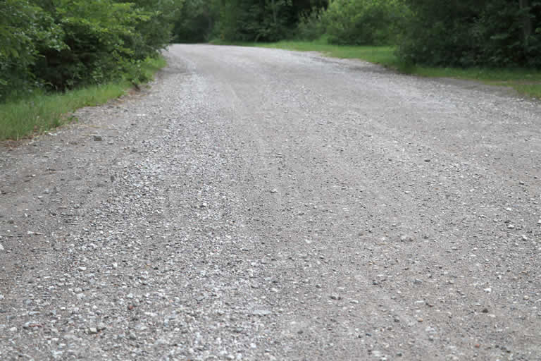 Curving gravel road surrounded by lush greenery