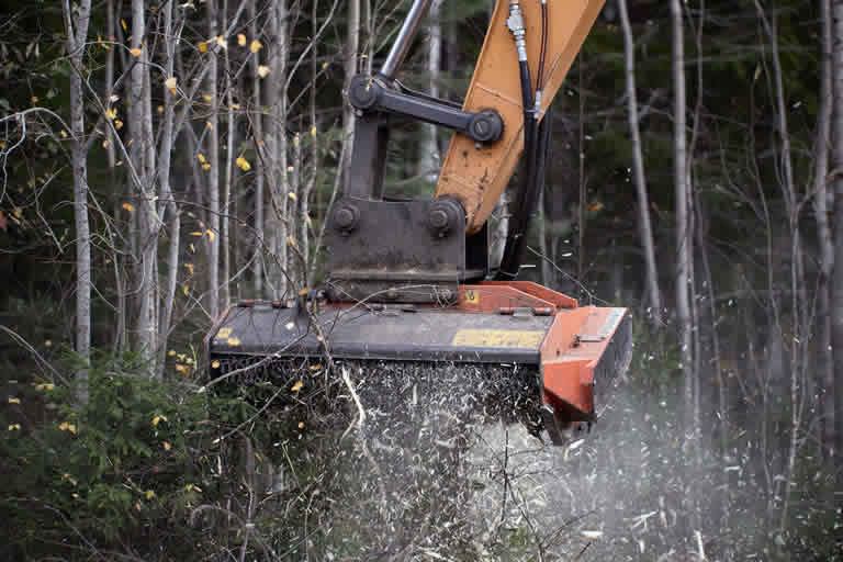 Grading Services image for forestry mulching