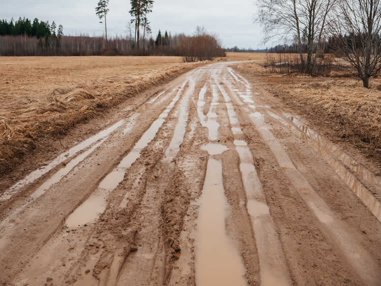 Muddy rural road with puddles after rainfall