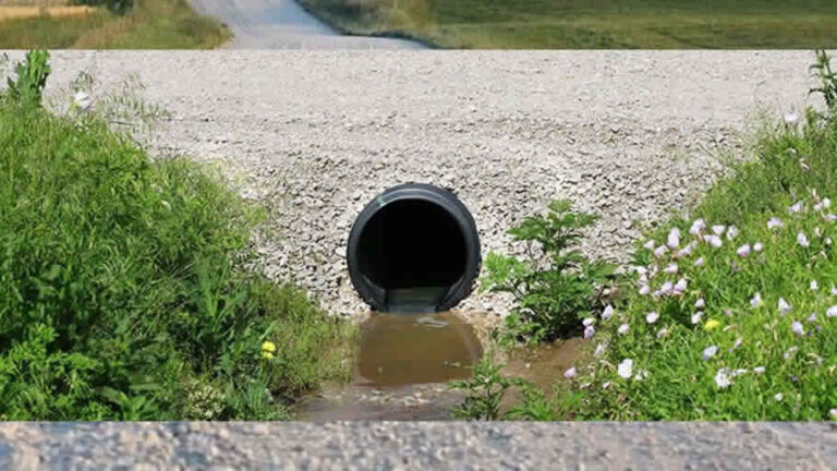 Drainage pipe along a gravel road with wildflowers